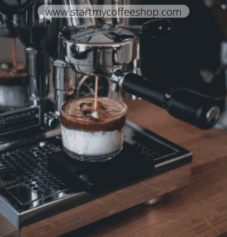 Espresso or Drip?
