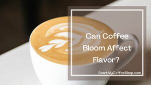 How To Bloom Coffee: Everything You Need To Know For The Best Cup
