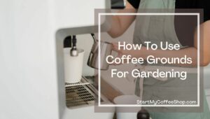 Coffee Grounds
 In The Garbage Disposal?