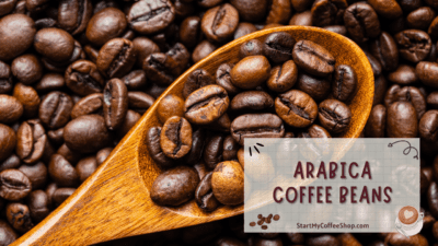 The Untold Story of Coffee Beans: Inside the World of Arabica and Robusta