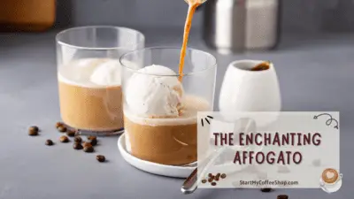 Coffee Extravaganza: Embarking on a Flavorful Journey through Coffee Drinks
