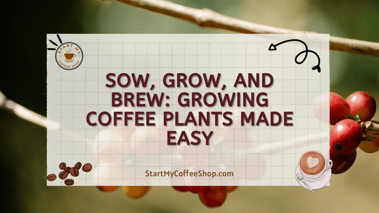 Sow, Grow, and Brew: Growing Coffee Plants Made Easy