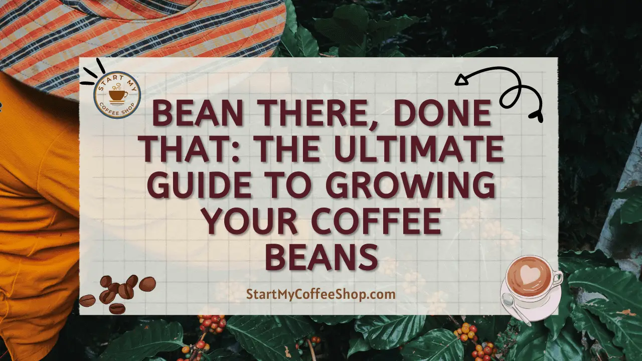 Bean There, Done That: The Ultimate Guide to Growing Your Coffee Beans