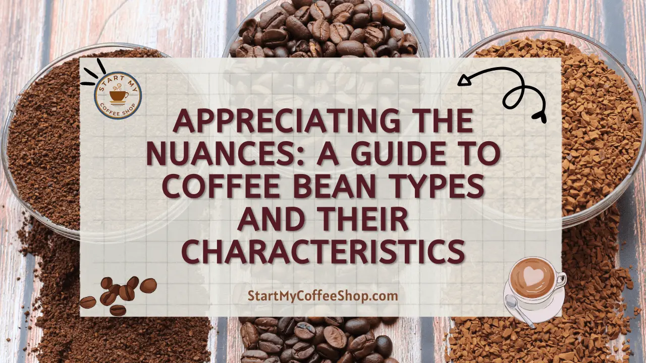 Appreciating the Nuances: A Guide to Coffee Bean Types and Their Characteristics