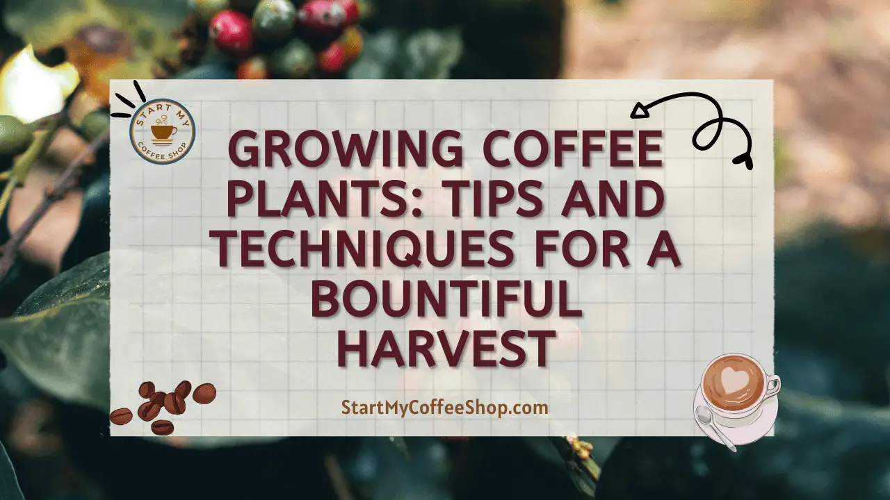 Growing Coffee Plants: Tips and Techniques for a Bountiful Harvest