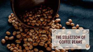 Coffee Magic: Crafting Espresso-Like Coffee from Regular Beans