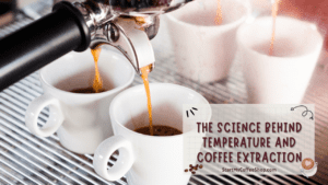A Flavorful Quest: Discovering the Best Coffee Brewing Temperature