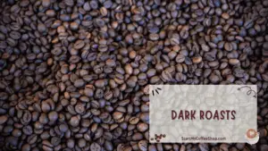 Unraveling Coffee's Diversity: A Journey through the Roasting Types